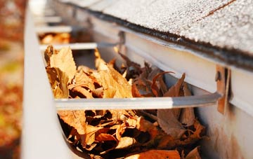 Braemar gutter cleaning companies